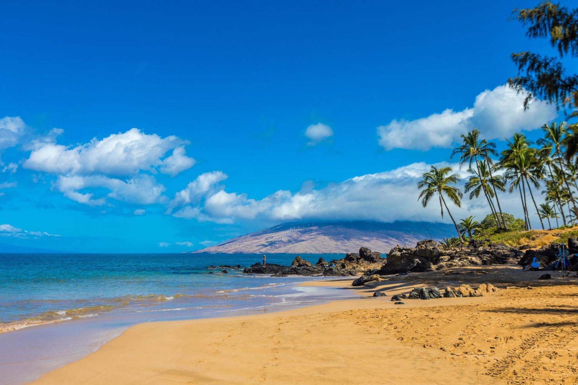 Hébergement de vacances Kamaole Royale 208 *